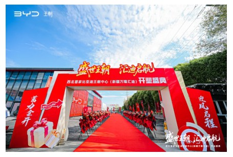 西北首家比亚迪王朝中心 新疆万隆汇迪盛大开业