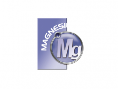 2027年上海国际镁工业展览会 MAGNESIUM CHINA